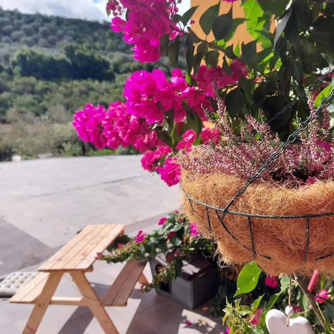 منزل للإقامة Villa I Sogni Sennori